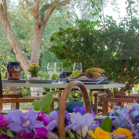 Casa Vacanze Il Bacio Piano di Sorrento Eksteriør billede